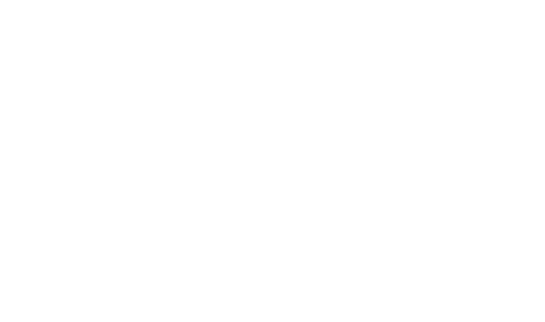 ELA — footwear retail